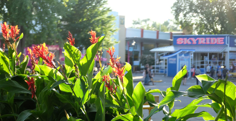 Flowers outside of the Skyride, showcasing the work of our greenhouse staff